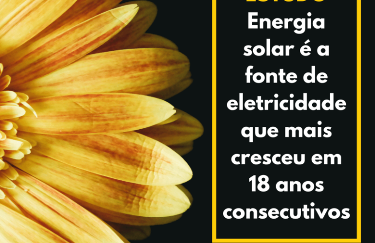 Girassol com o texto Estudo – Energia Solar é a fonte de eletricidade que mais cresceu em 18 anos consecutivos
