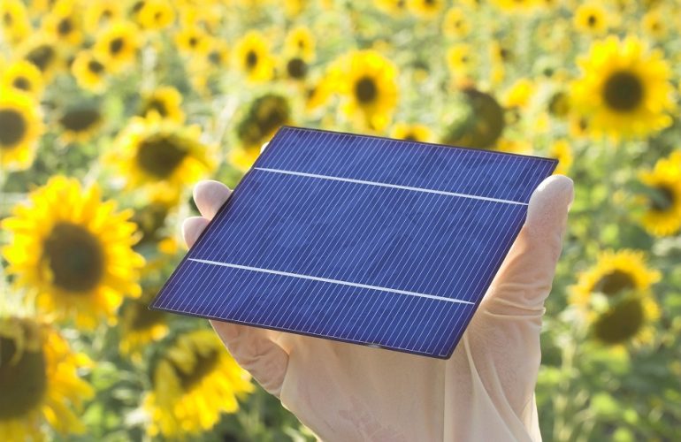 Célula de painel solar fotovoltaico, cuja reciclagem através de um micro-ondas foi desenvolvida por Binesh Puthen Veettil