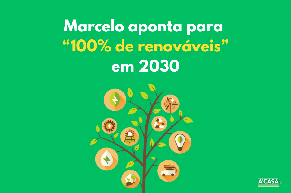 Grafismo em árvore de energias renováveis, símbolo do compromisso de Portugal com a transição energética